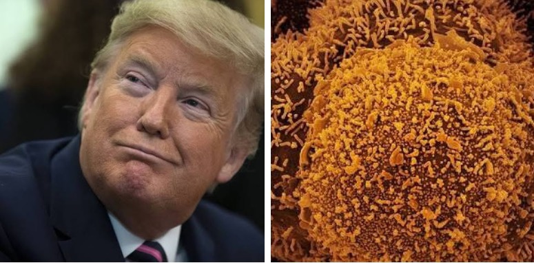 TRUMP estava certo: Agência oficial do EUA diz que Covid vazou de laboratório chinês