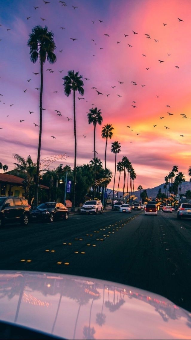 A paz quando tem algo para&nbsp;mastigar