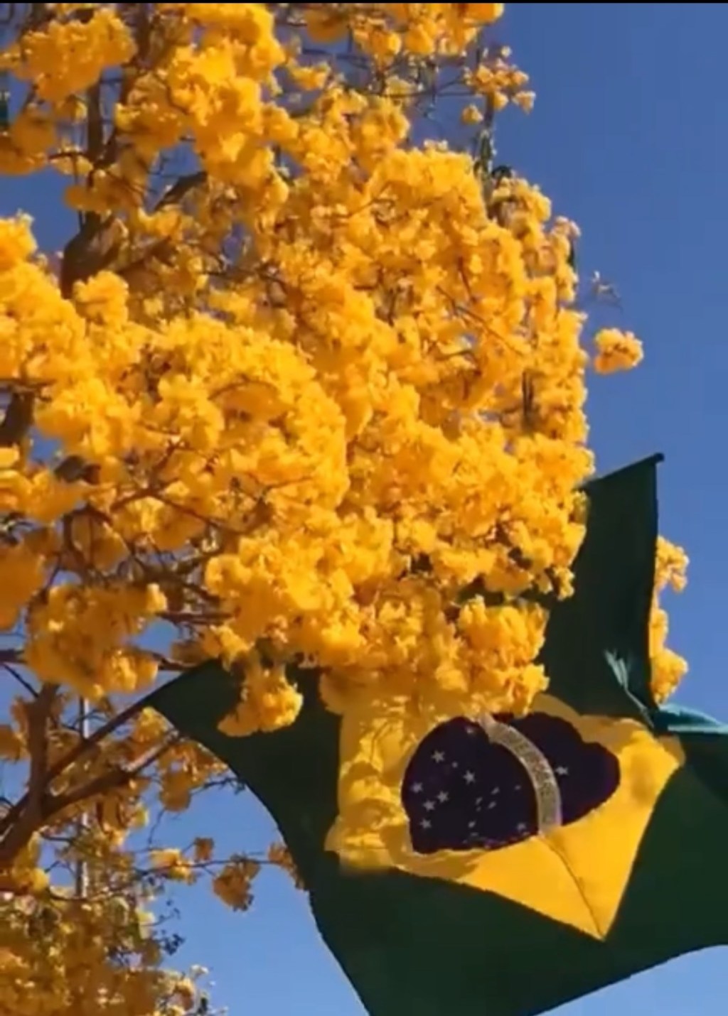 Maio de 1936 julho de 2023 o Brasil e a fraqueza de seus&nbsp;dirigentes