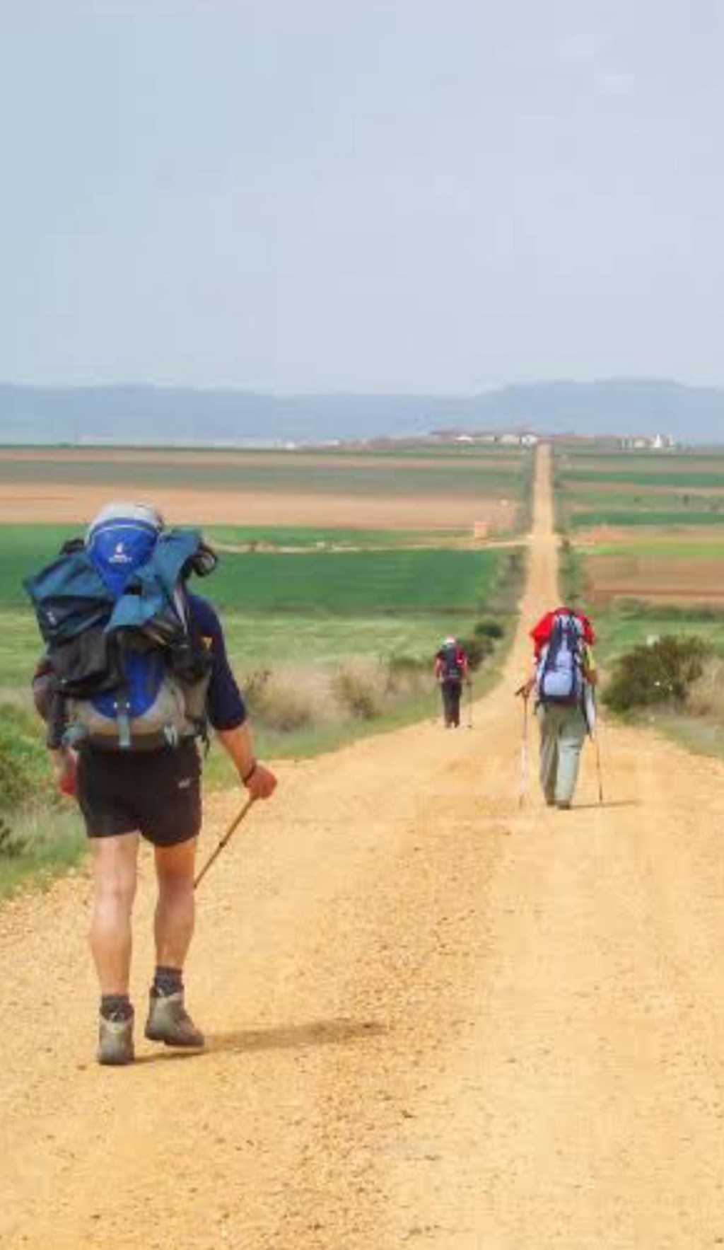 O Caminho é o da Verdade Terrorismo Eleitoral parte&nbsp;III