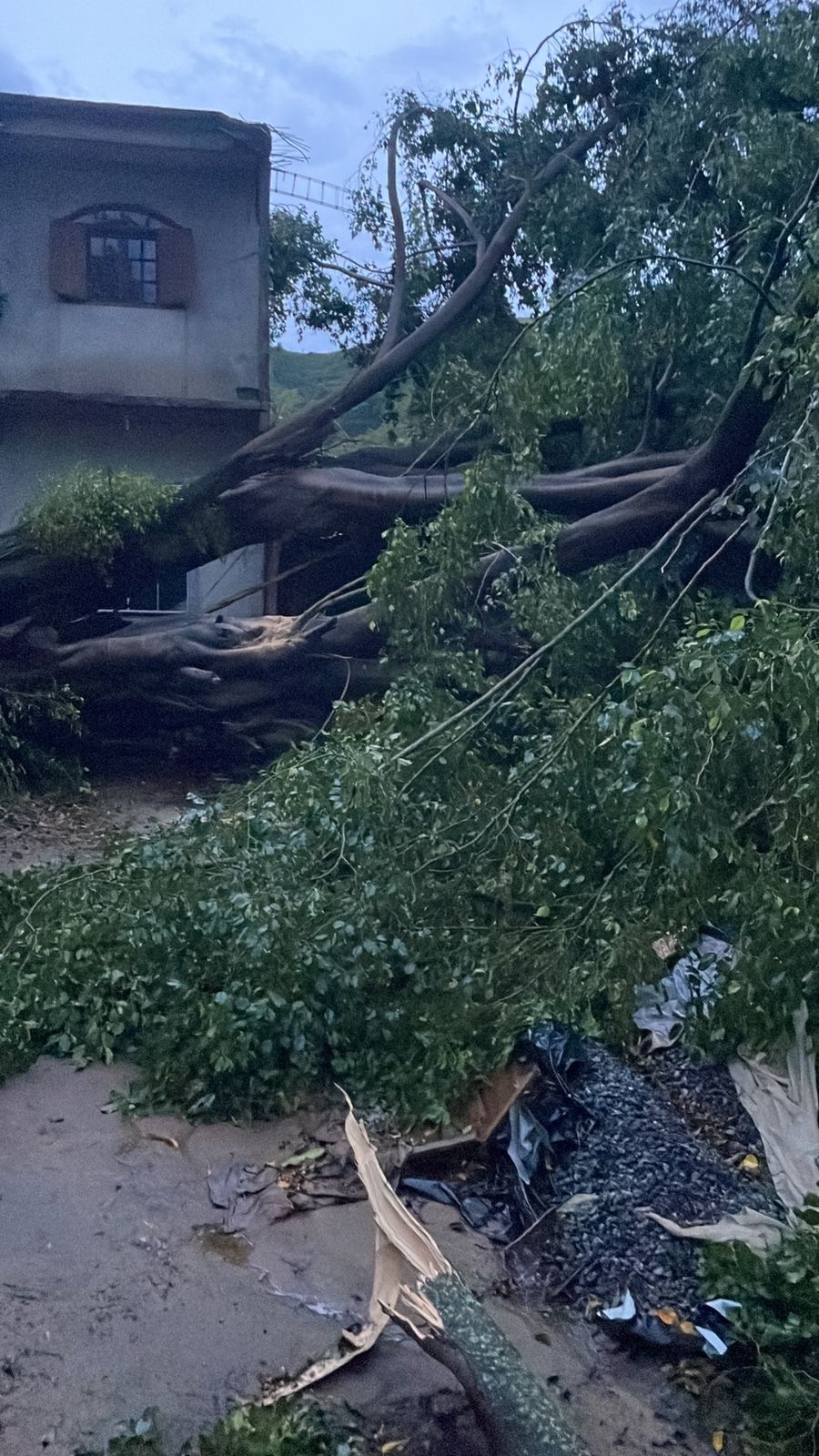 ‼️ 🚨 Itaperuna ‼️ 🚨 para possível tempestade e&nbsp;vendaval